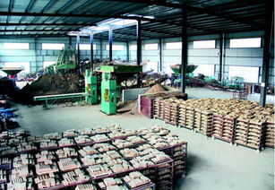 通江福德源陶瓷廠建成投產(chǎn)，投資管理助力地方經(jīng)濟(jì)，新增就業(yè)崗位200個(gè)